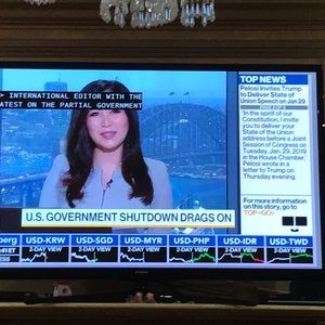 Meet your Posher, Rosie